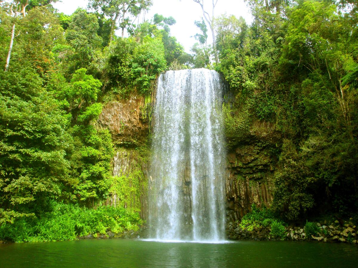 A water body in Australia with a waterfall in the forest