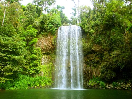 Водоем в Австралии с водопадом в лесу