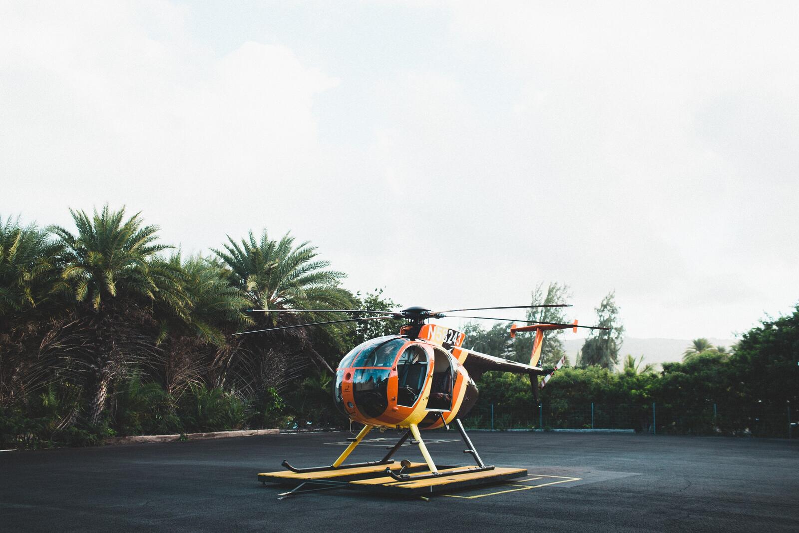 Обои пальмы вертолет спортивный инвентарь на рабочий стол