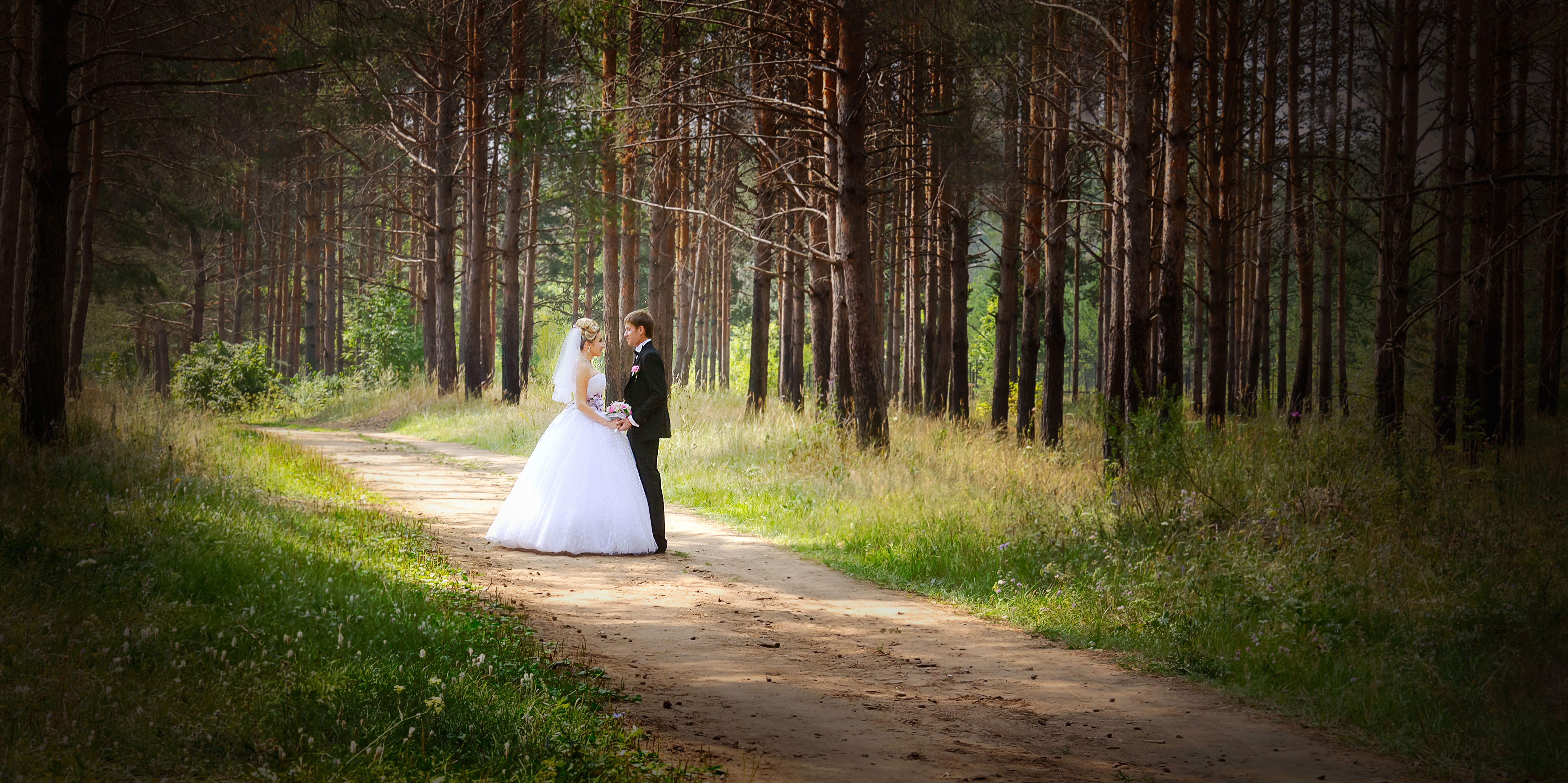 Фото дерево, природа, лес, солнечный свет, утро, лето, зелёный, осень, свадебные, невеста, только что вышла замуж, прогулка, деревья, церемонии, платье - бесплатные картинки на Fonwall