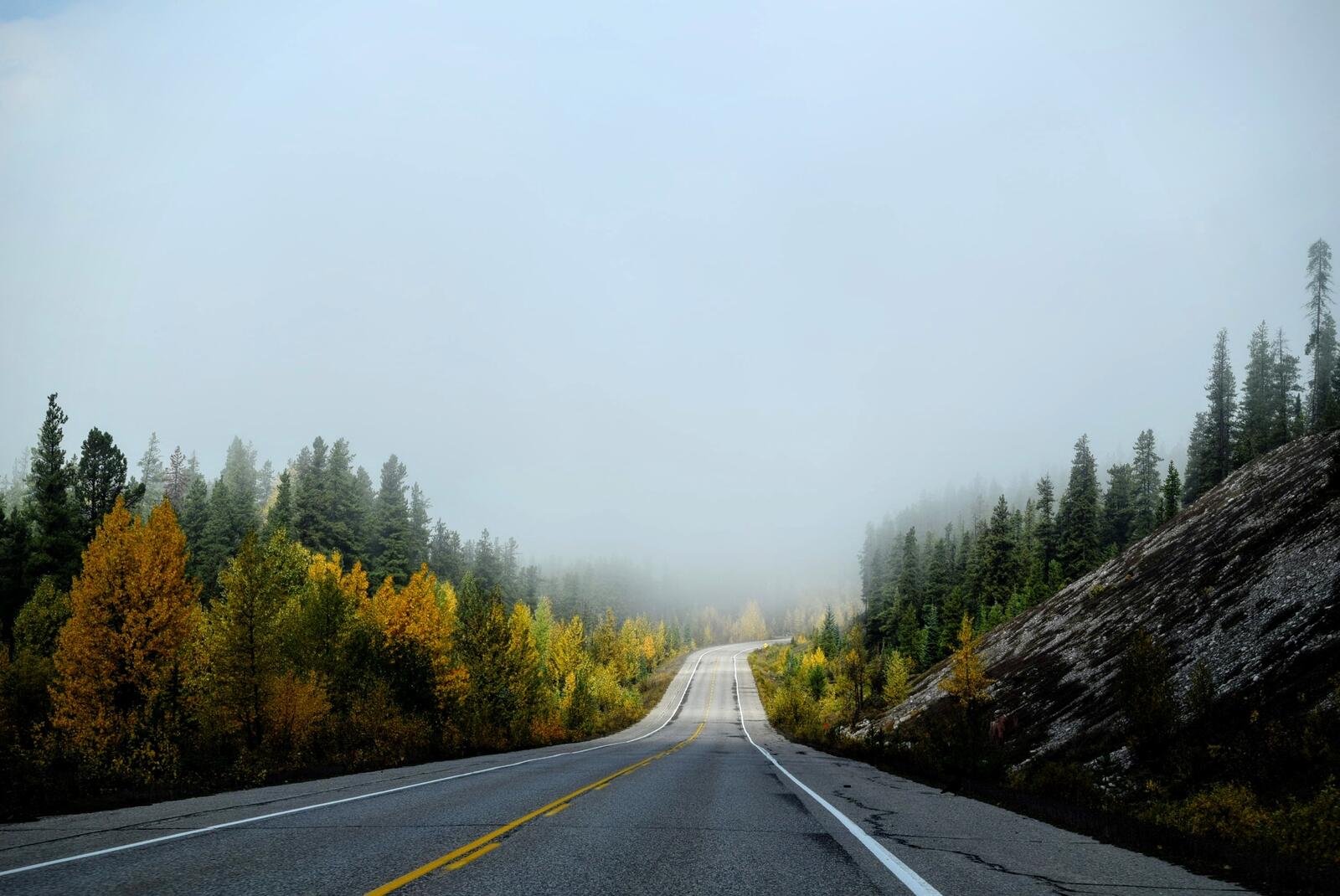 Бесплатное фото Длинная дорога уходит в туман