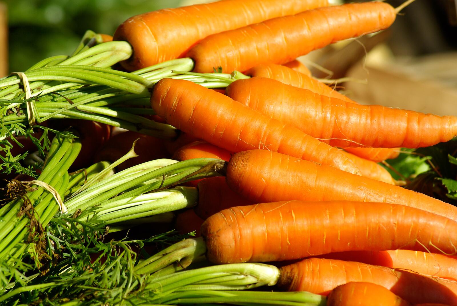 Бесплатное фото Свежая морковь