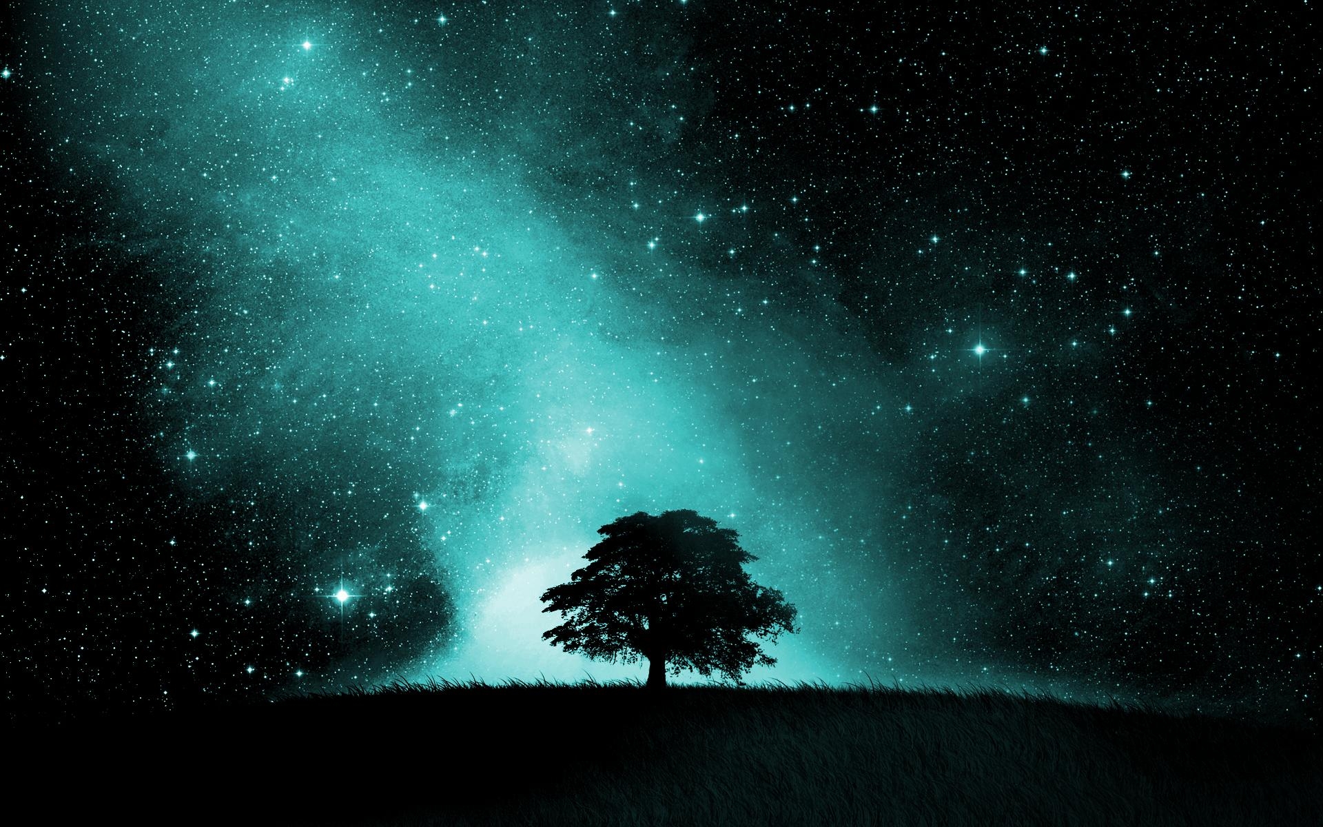 宇宙天空中的树影