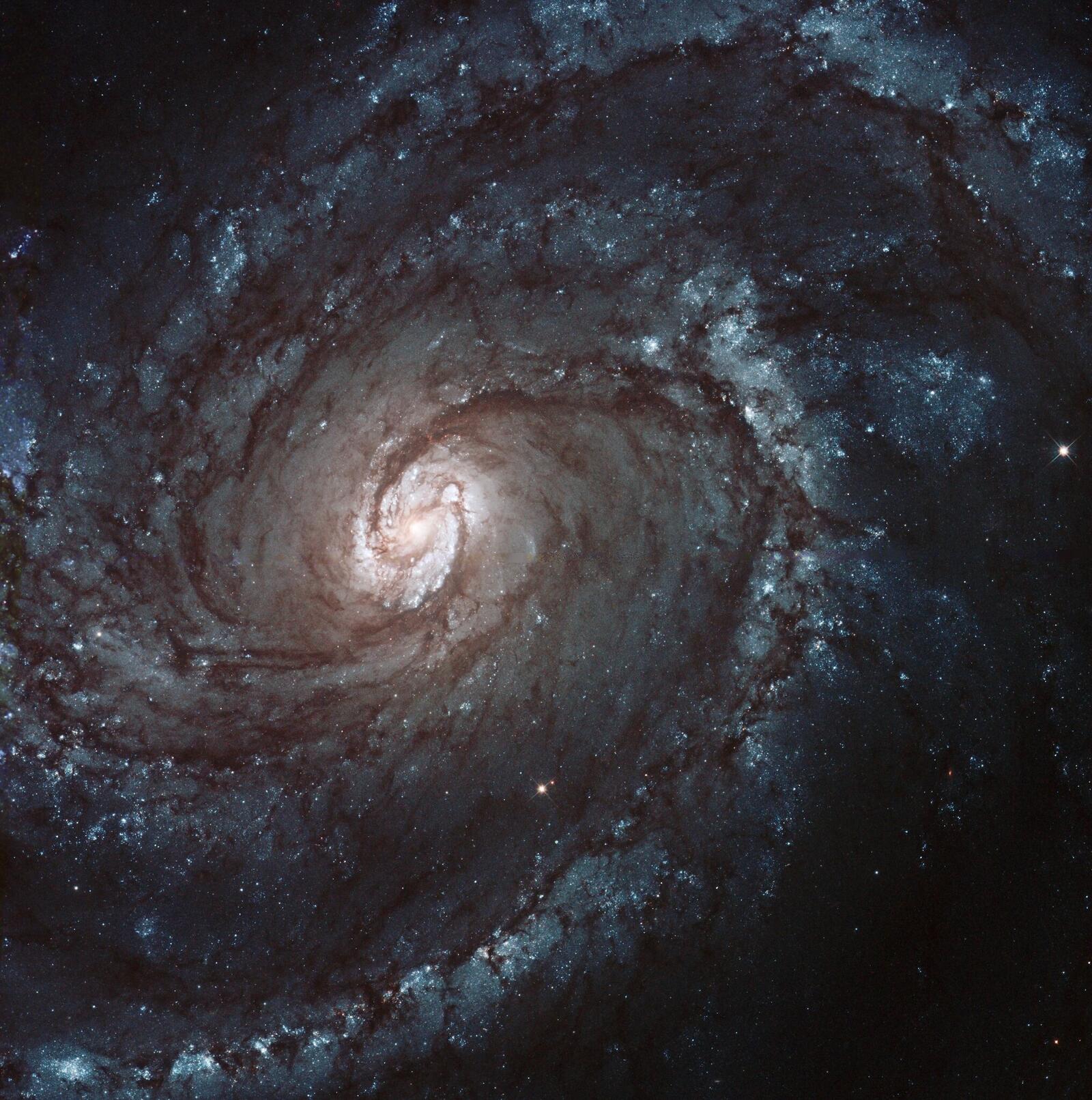 Wallpapers galaxy darkness wallpaper spiral nebula on the desktop