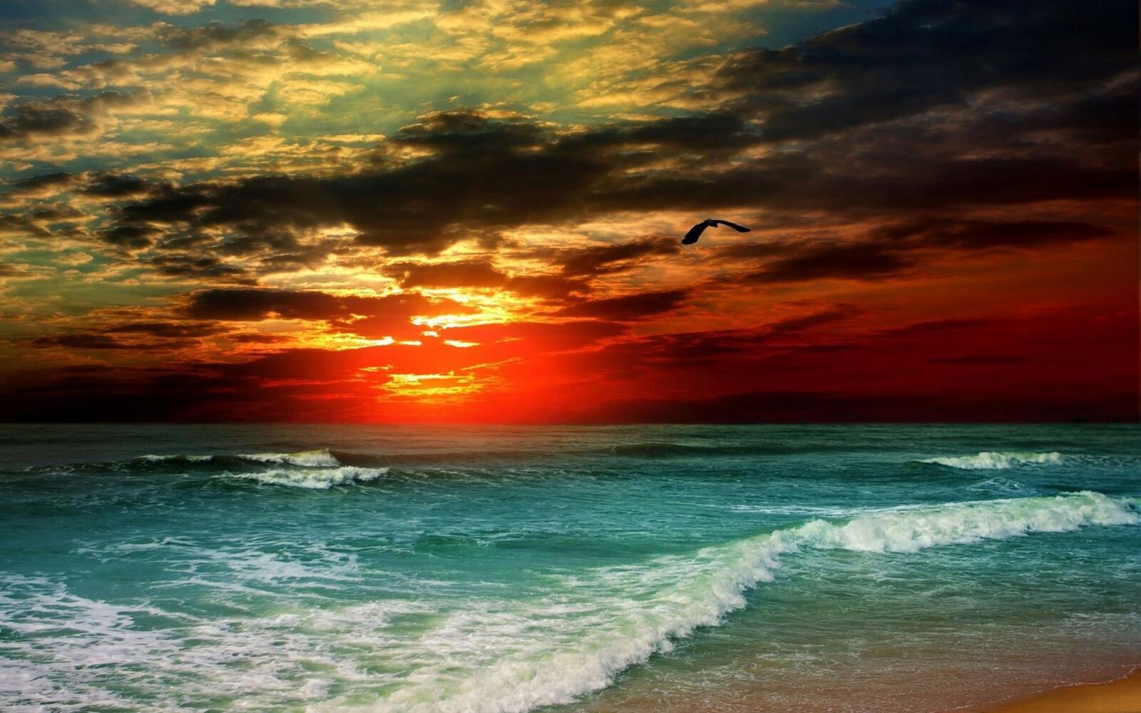 Free photo A beautiful sunset on the sea
