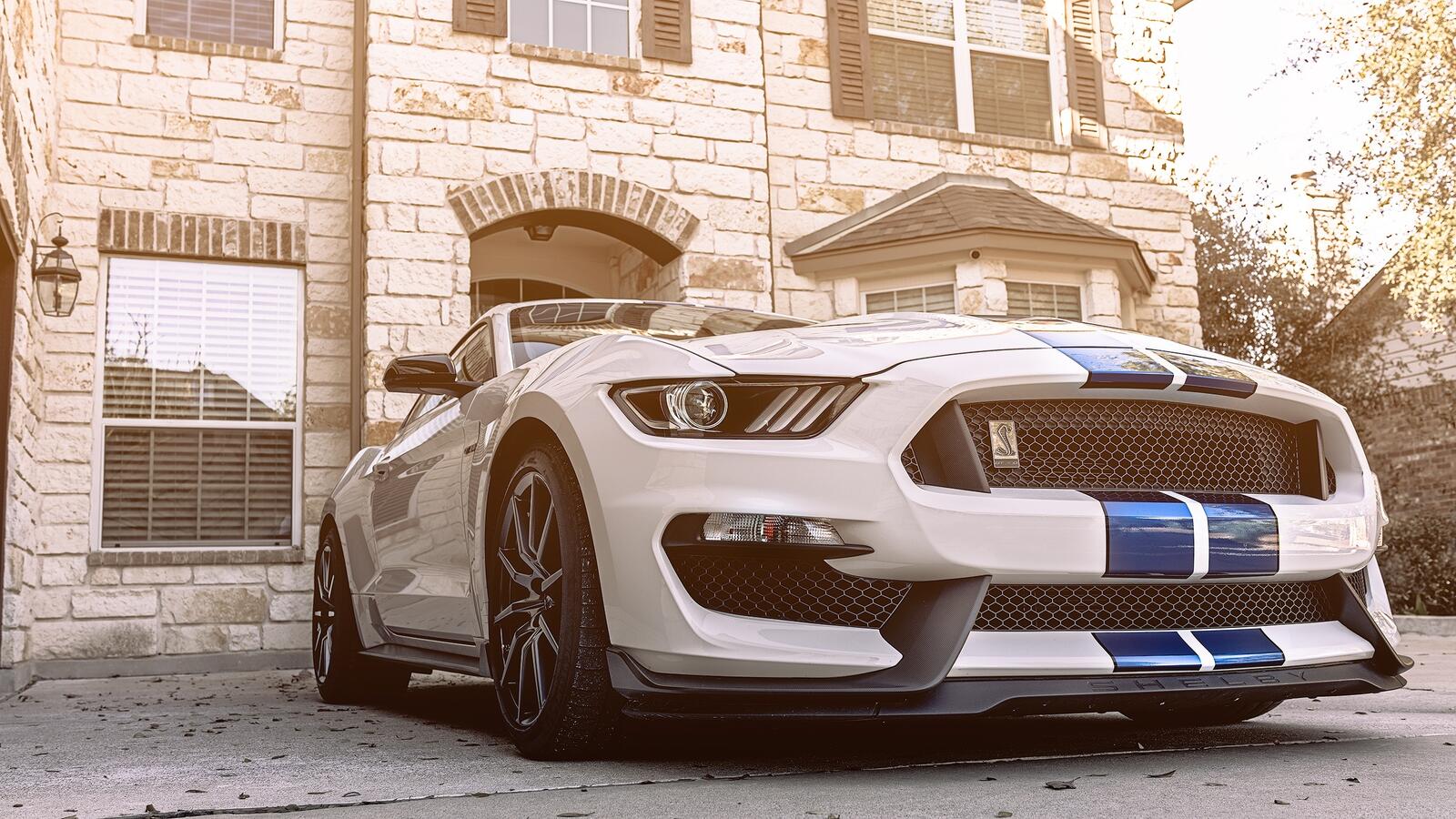 Free photo White ford mustang shelby gt350 with blue stripes
