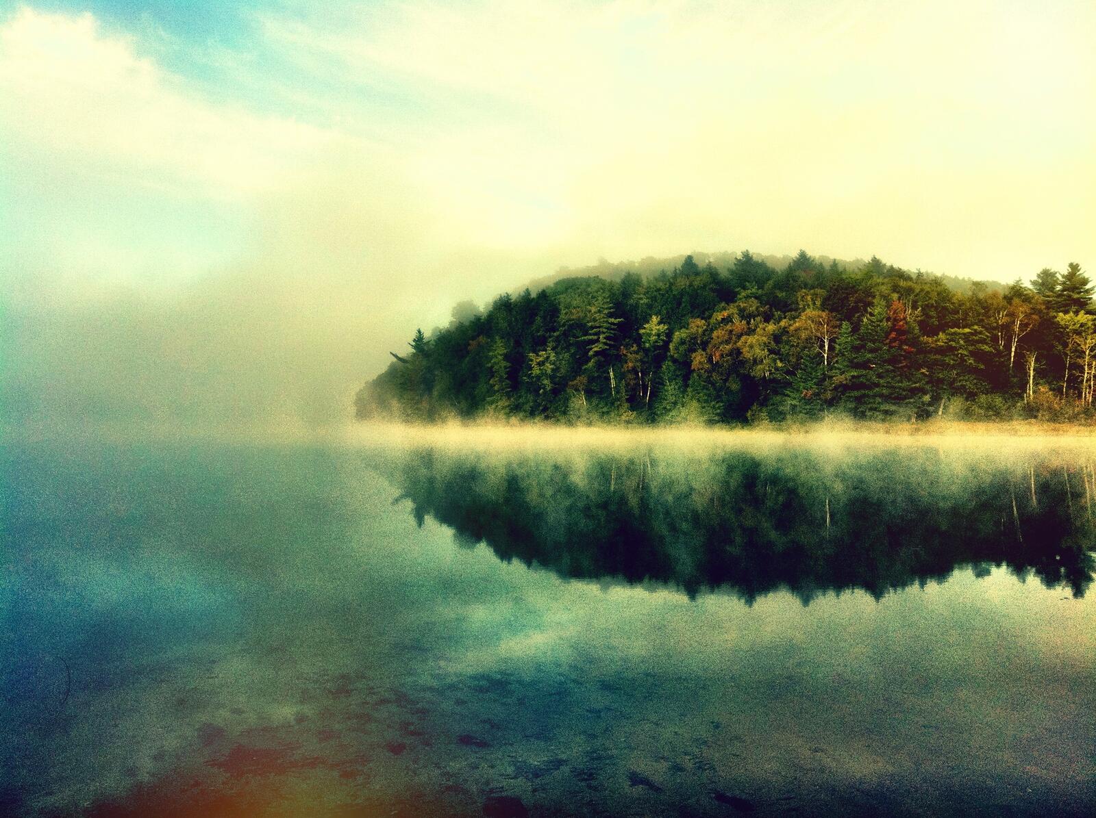 免费照片描绘河边小岛上森林的壁纸