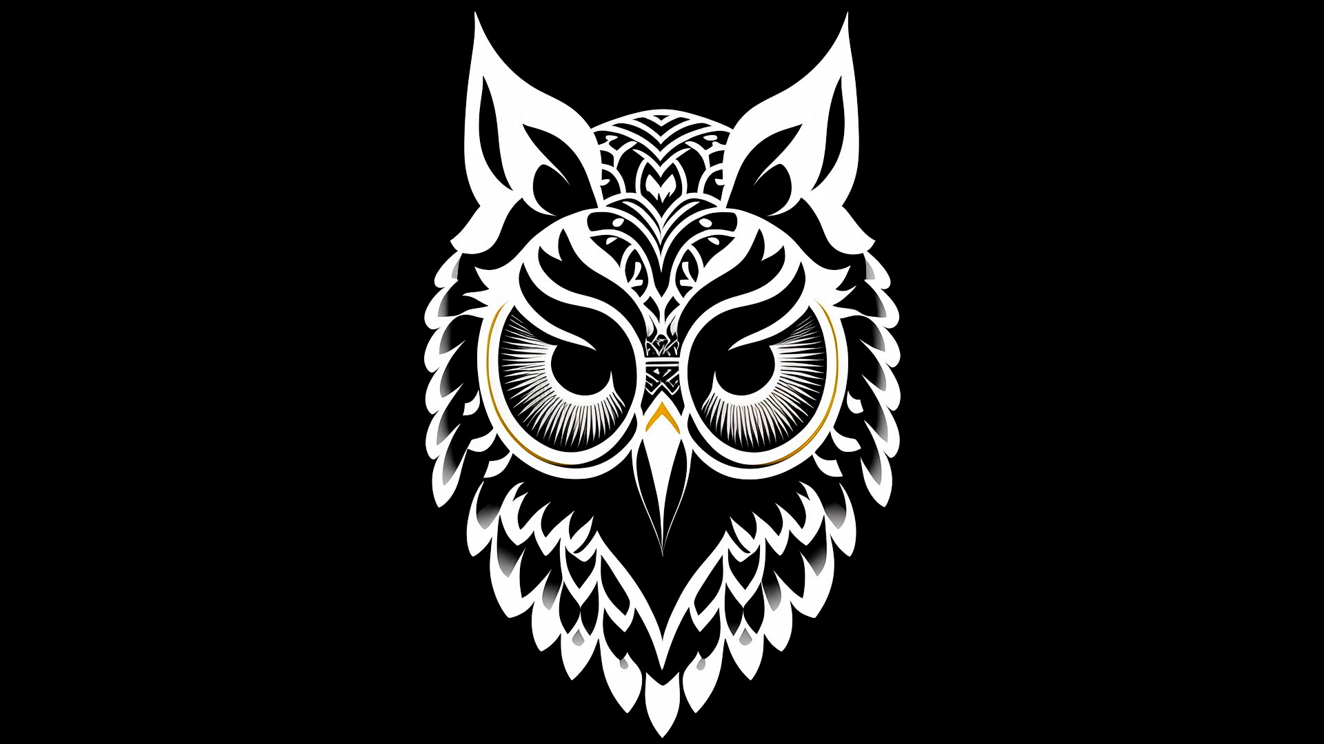 Owl head on black background