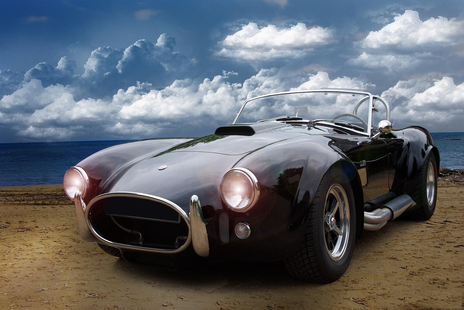 Free photo Shelby the cobra in black.