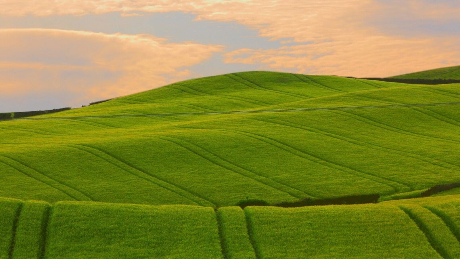 Wallpapers landscape hill grass on the desktop