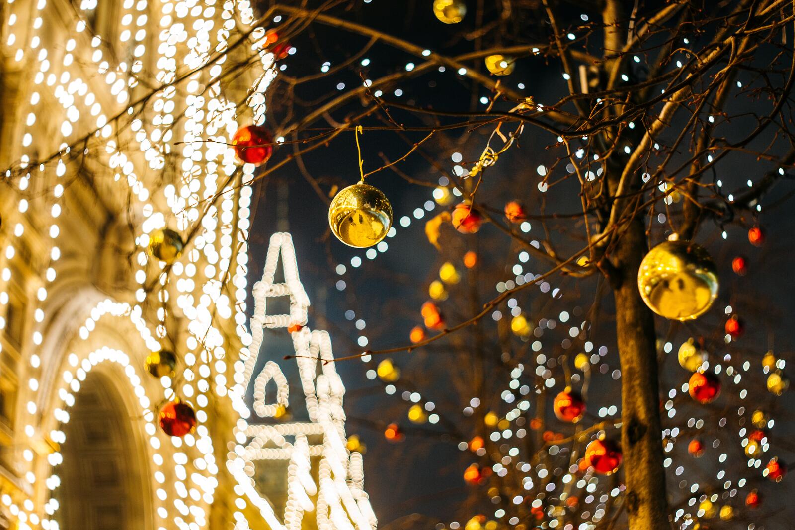 Бесплатное фото Уличные деревья украшенные под новый год