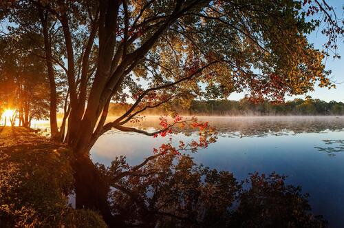 Осенний восход солнца на озере