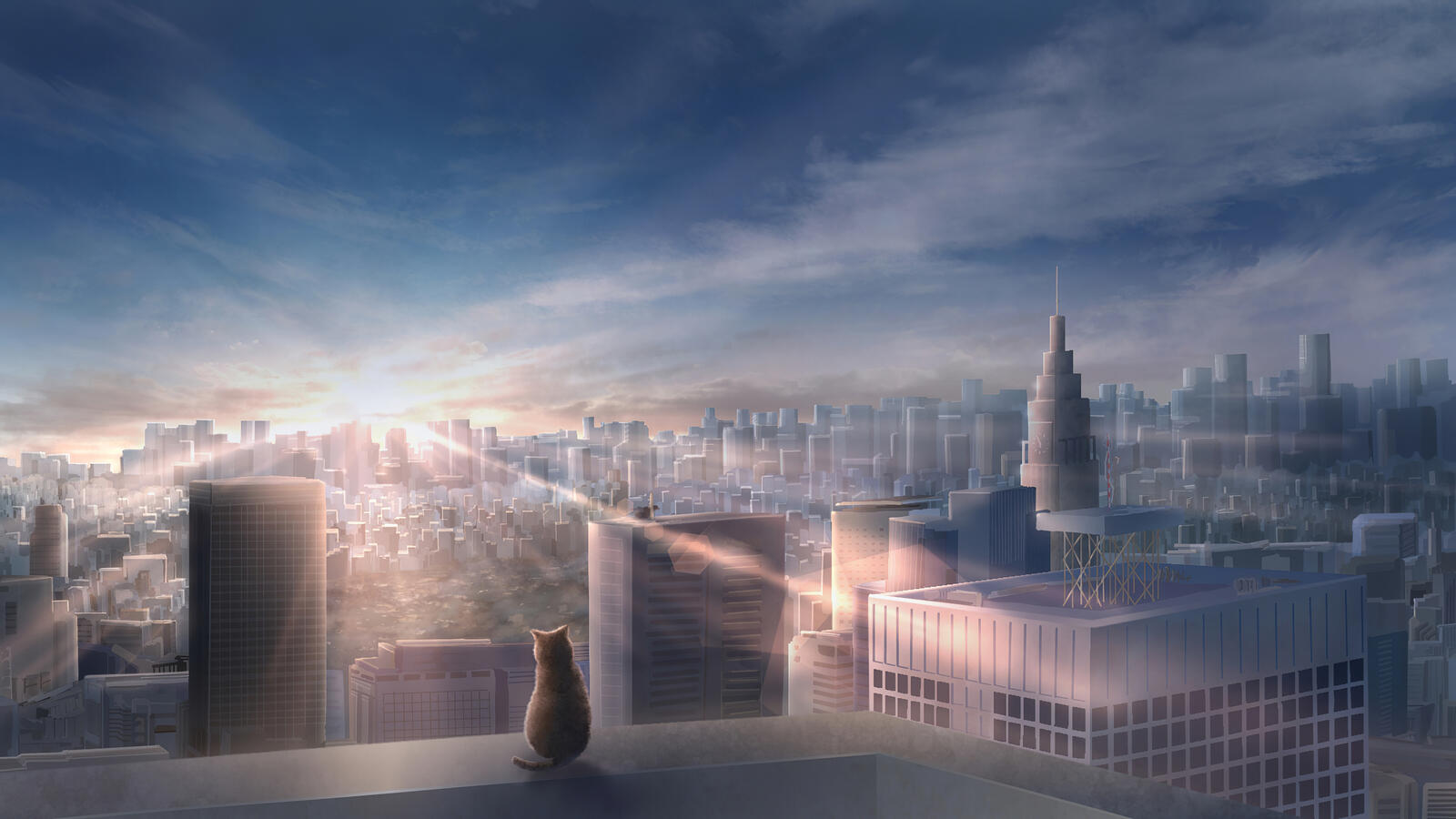 Бесплатное фото Кошка смотрит как восходит солнце на крыше небоскреба