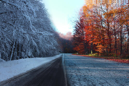 Снимок дороги с временами года, зимой и осенью