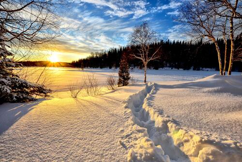 Красивая зима. Зимний пейзаж. Зимняя природа. Зима солнце. Февральский пейзаж.