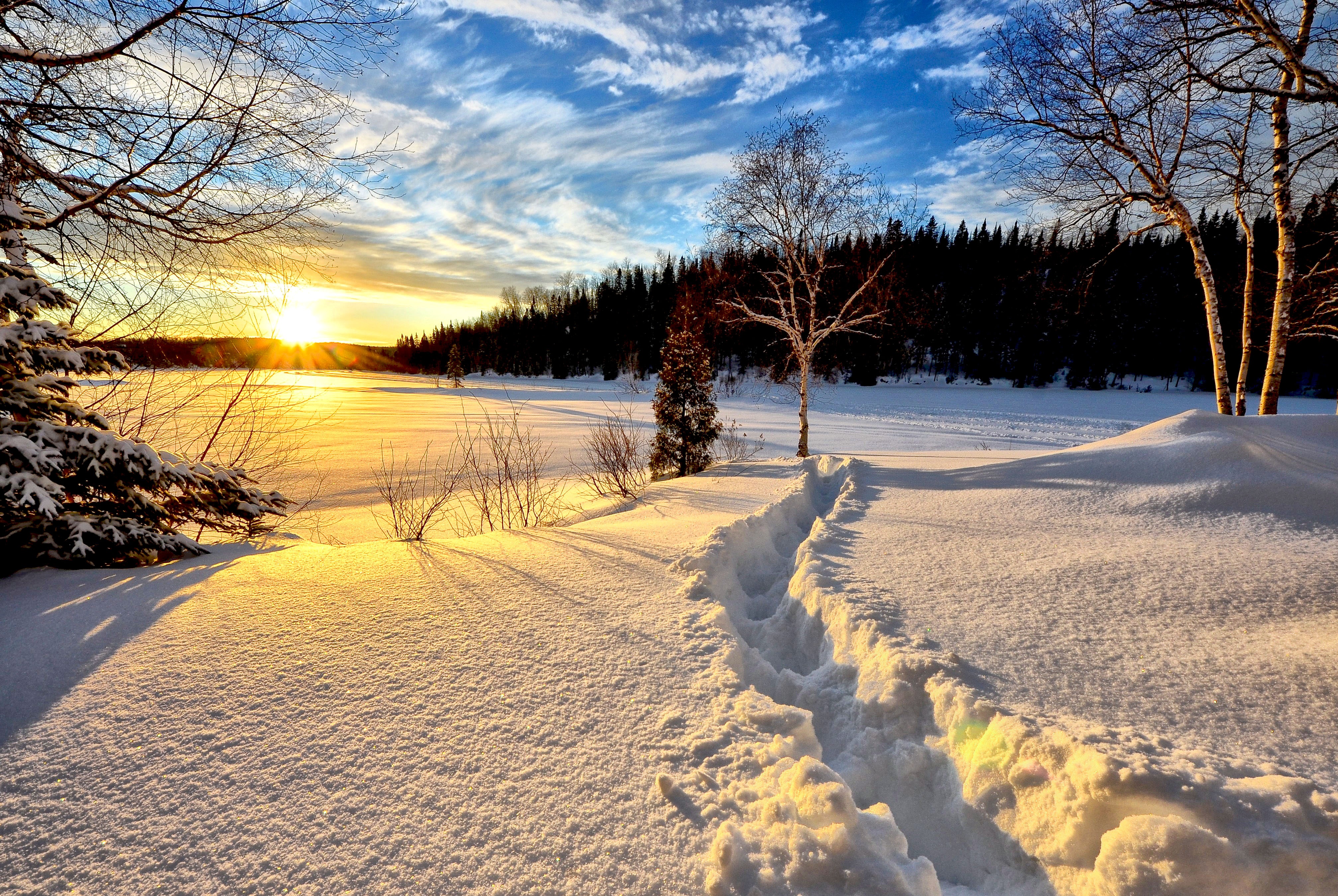免费照片冬天的森林小路和雪堆