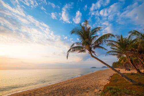 Пляж с пальмами с жаркую погоду