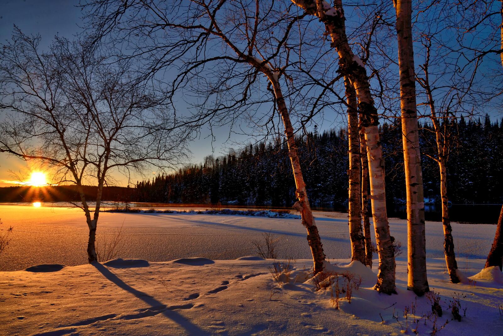 Бесплатное фото Вечерний зимний пейзаж