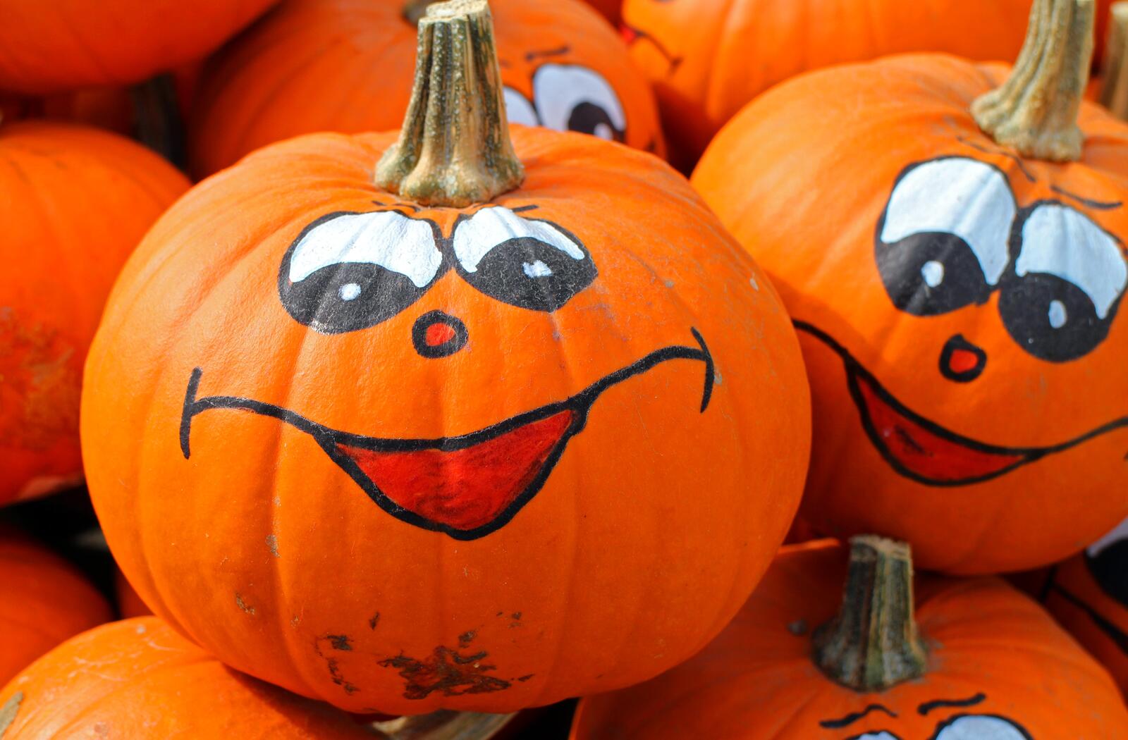 Free photo Drawing fun faces painted on pumpkins
