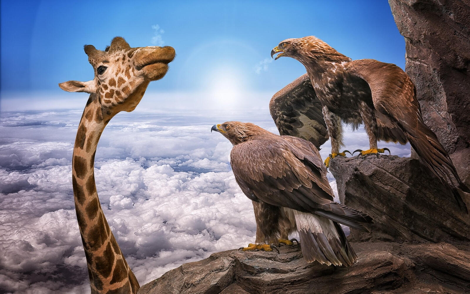 Free photo The giraffe looks at the eagles on top of the mountain