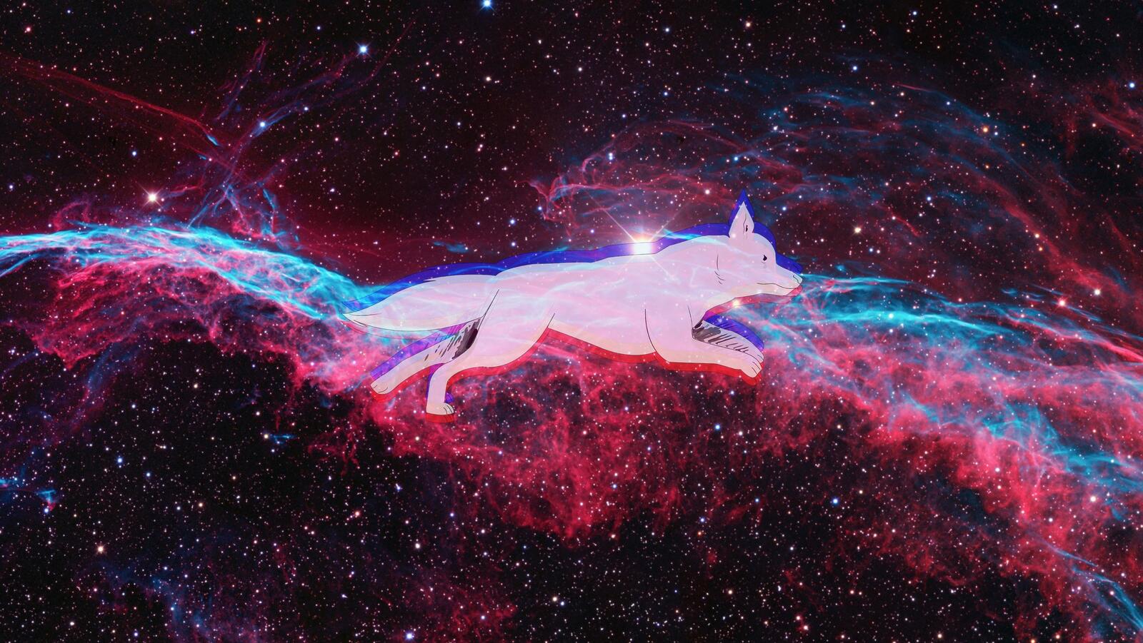 Wallpapers galaxy space dog on the desktop