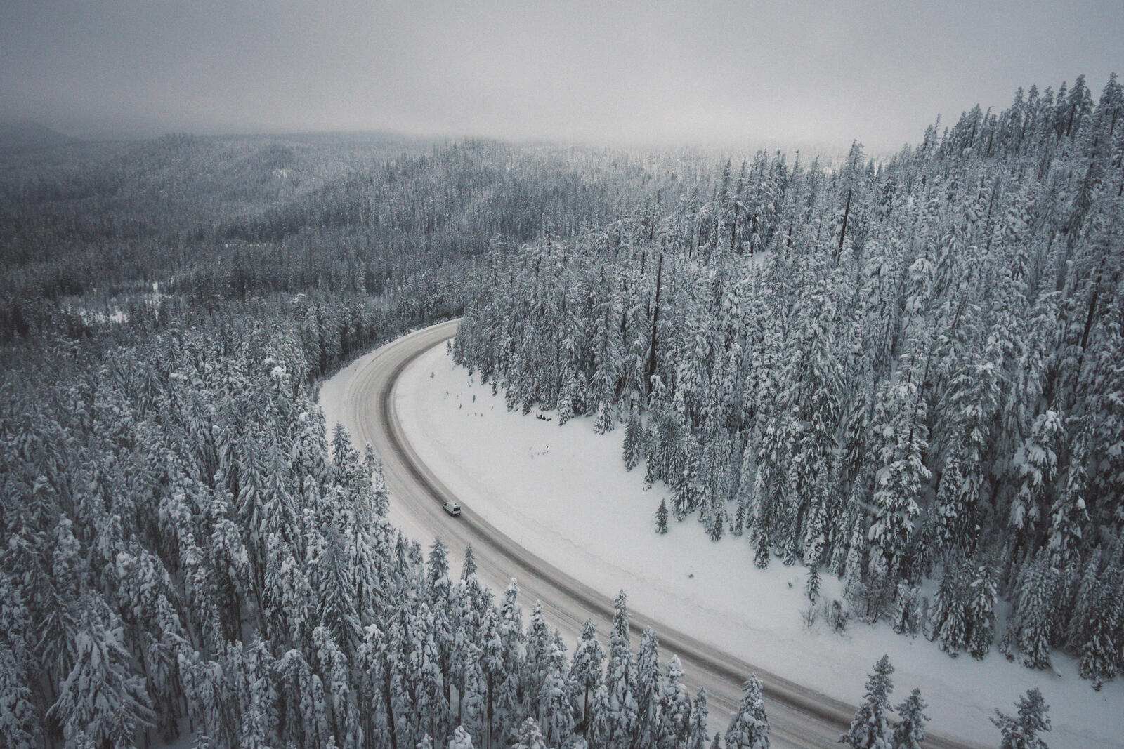 Бесплатное фото Зимняя дорога идущая вдоль лесного массива