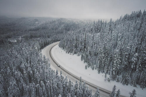 Зимняя дорога идущая вдоль лесного массива