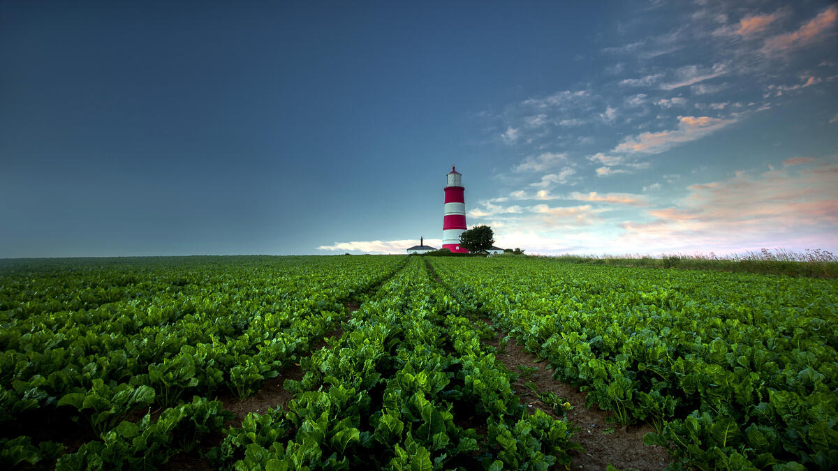 A striped lighthouse in a plowed field on the edge of the ocean