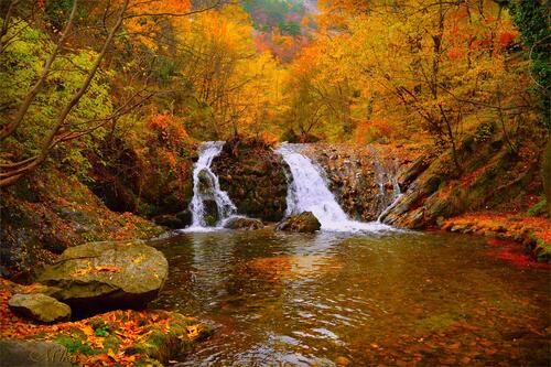 Яркий осенний водопад в лесу