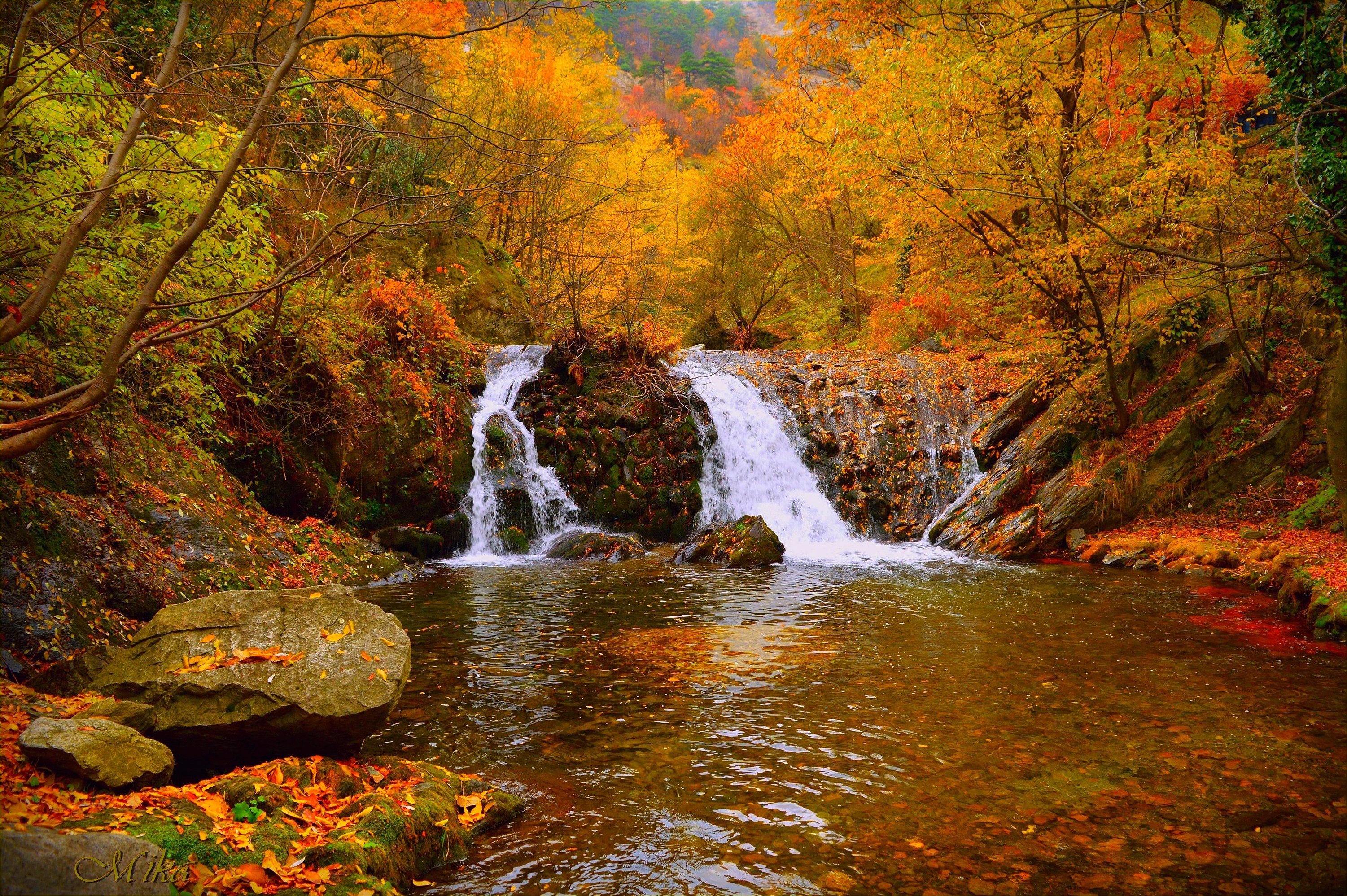 Free photo A bright fall waterfall in the forest