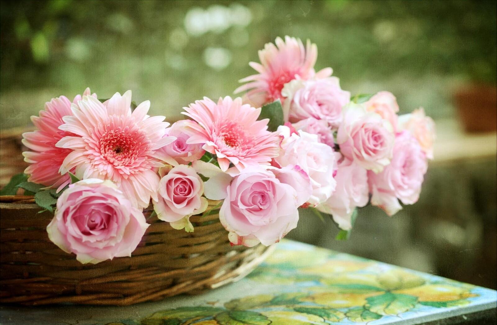 Бесплатное фото Розовые розы и розовая гербера