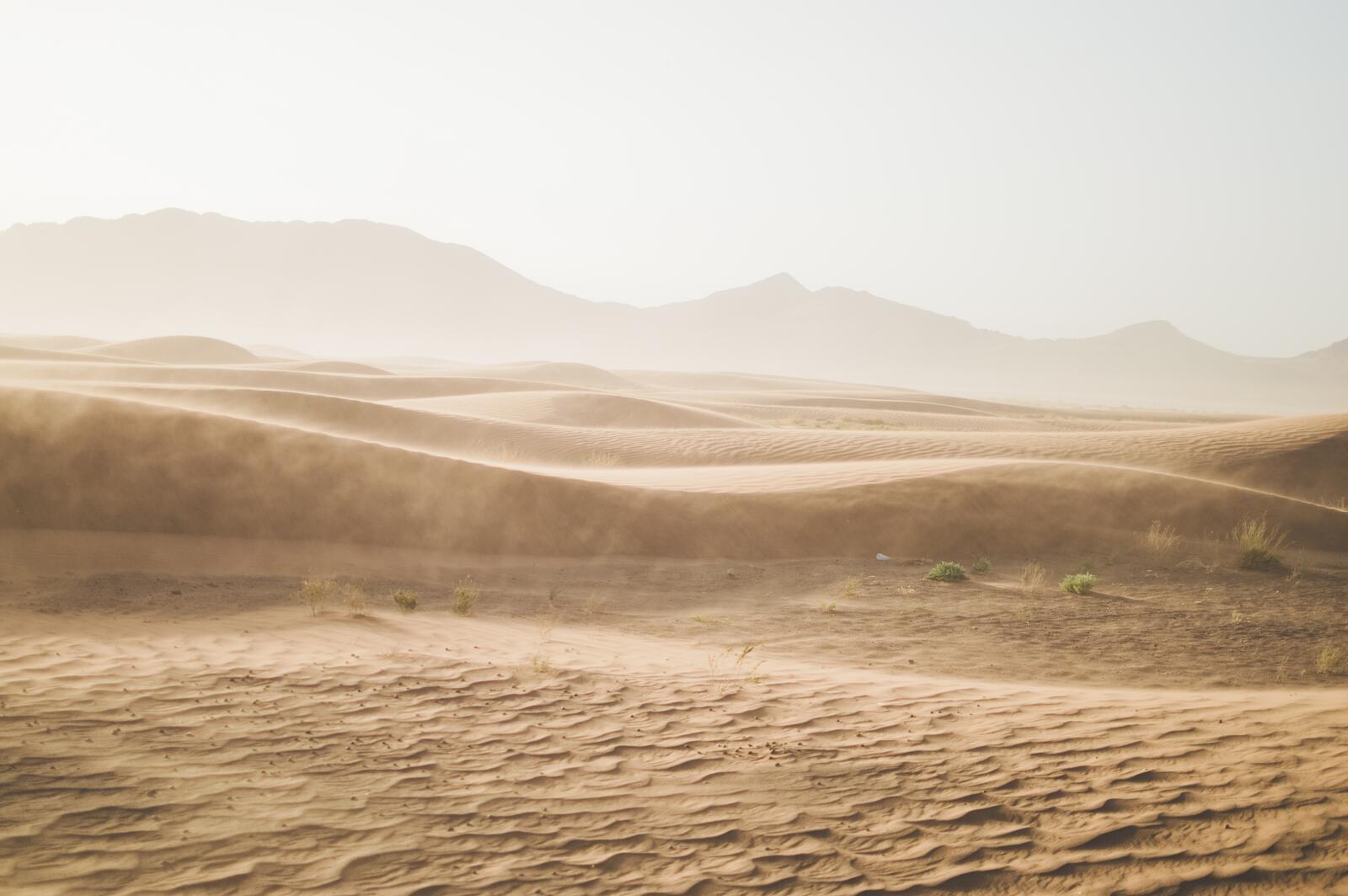 Бесплатное фото Песчаные дюны