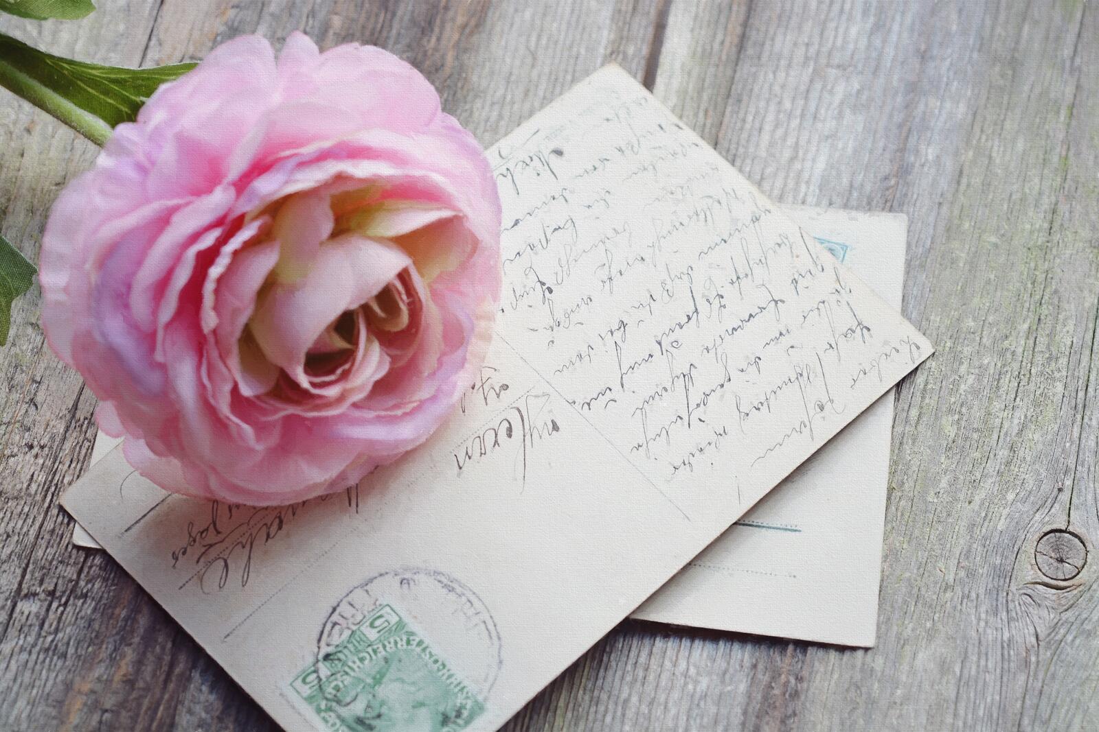 Бесплатное фото Одинокая розовая роза лежит на письмах