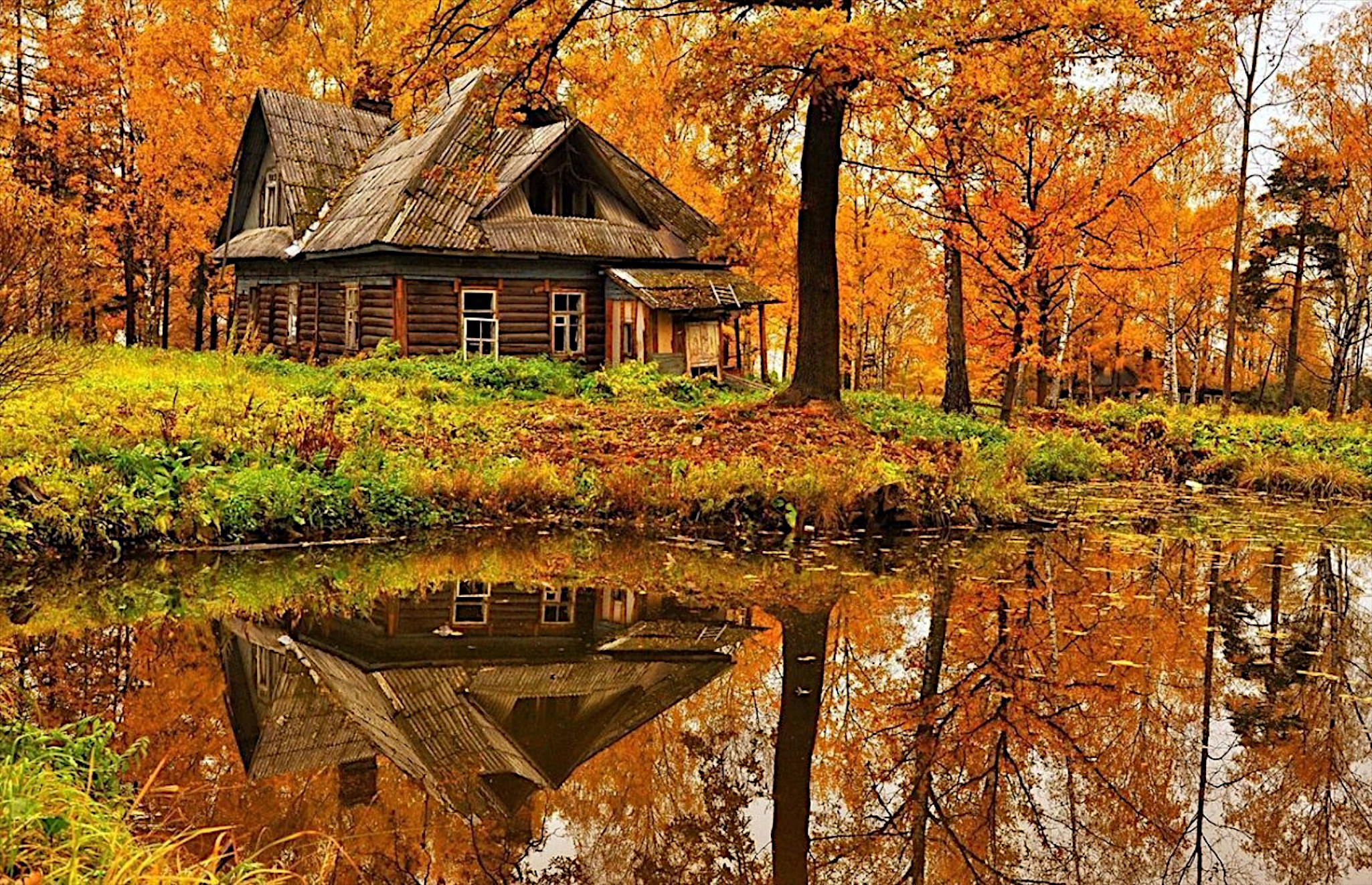 湖边秋日树林中的一座废旧老屋
