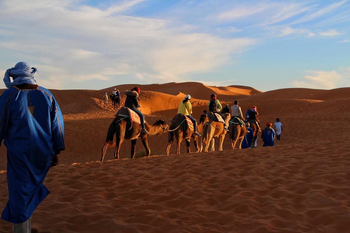 Traveling by camel across the Sahara Desert