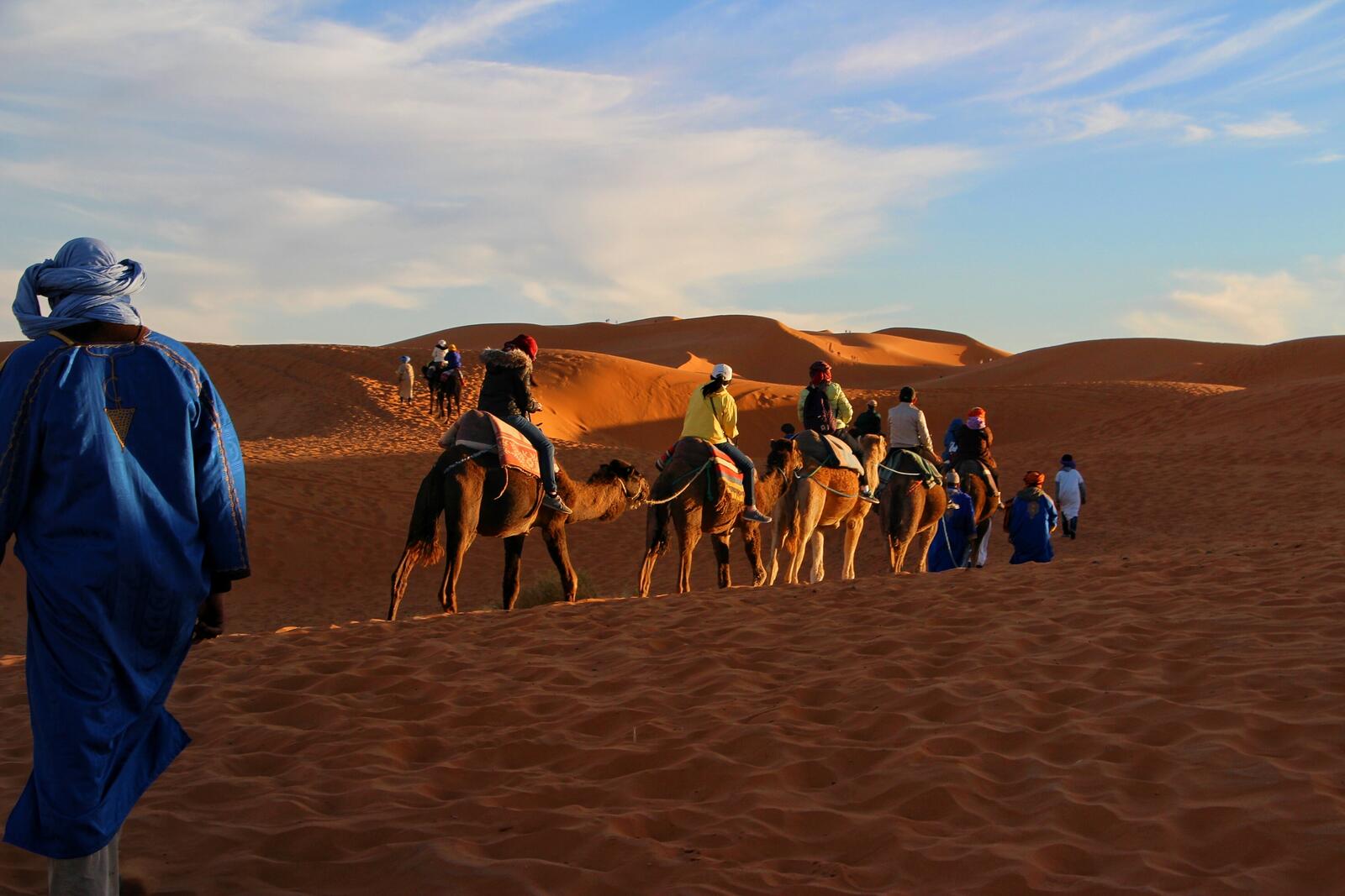 Free photo Traveling by camel across the Sahara Desert