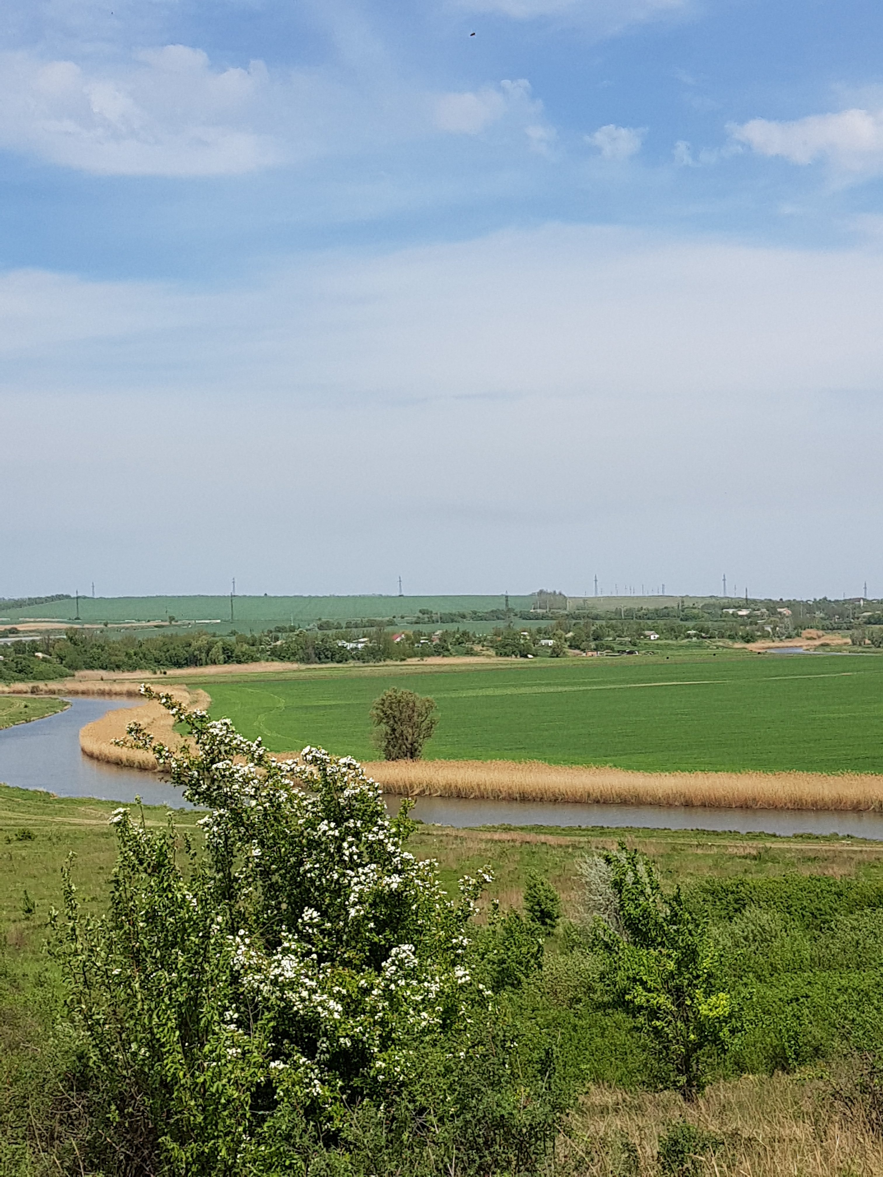 Бесплатное фото Река проходящая вдоль сельской местности