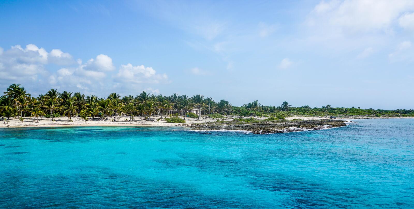Бесплатное фото Вид на остров с пальмами