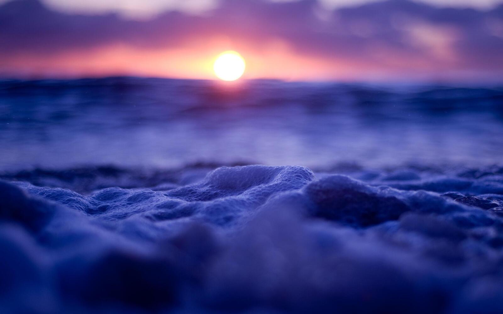 Free photo Sea foam at sunset