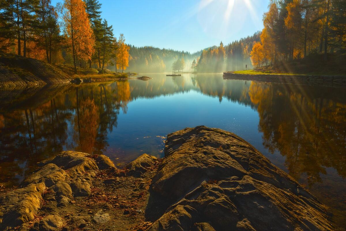 Wallpaper of a sunny morning on a lake