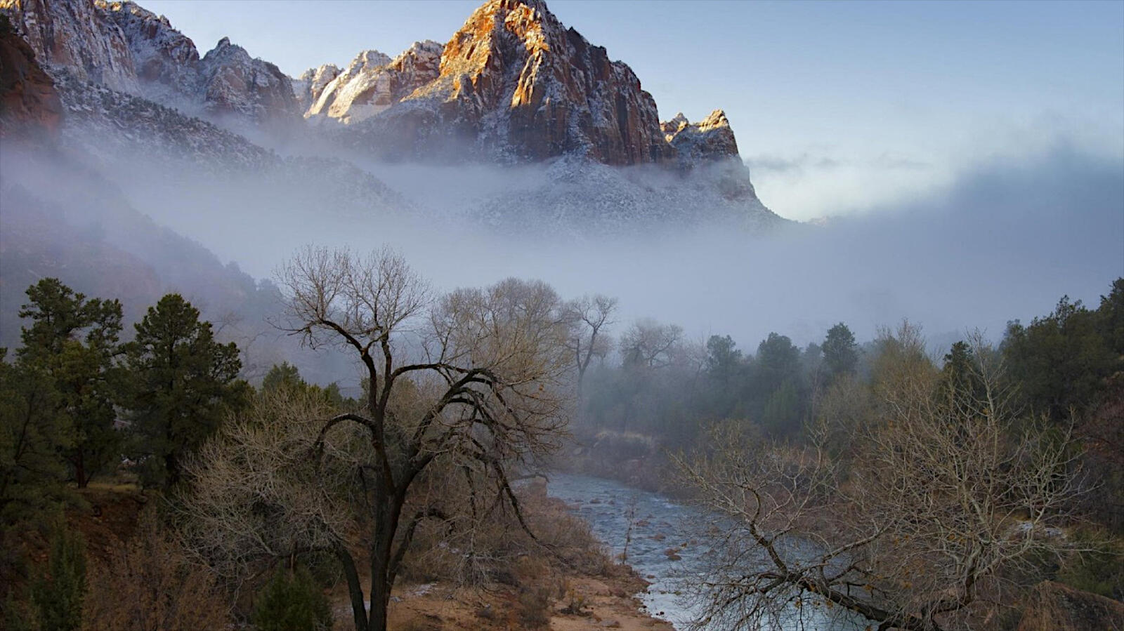 Бесплатное фото Туманное утро в горах у реки