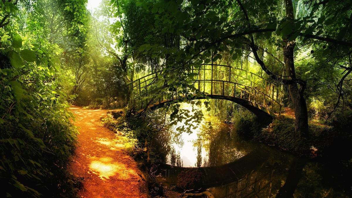 Маленький лесной мостик через реку
