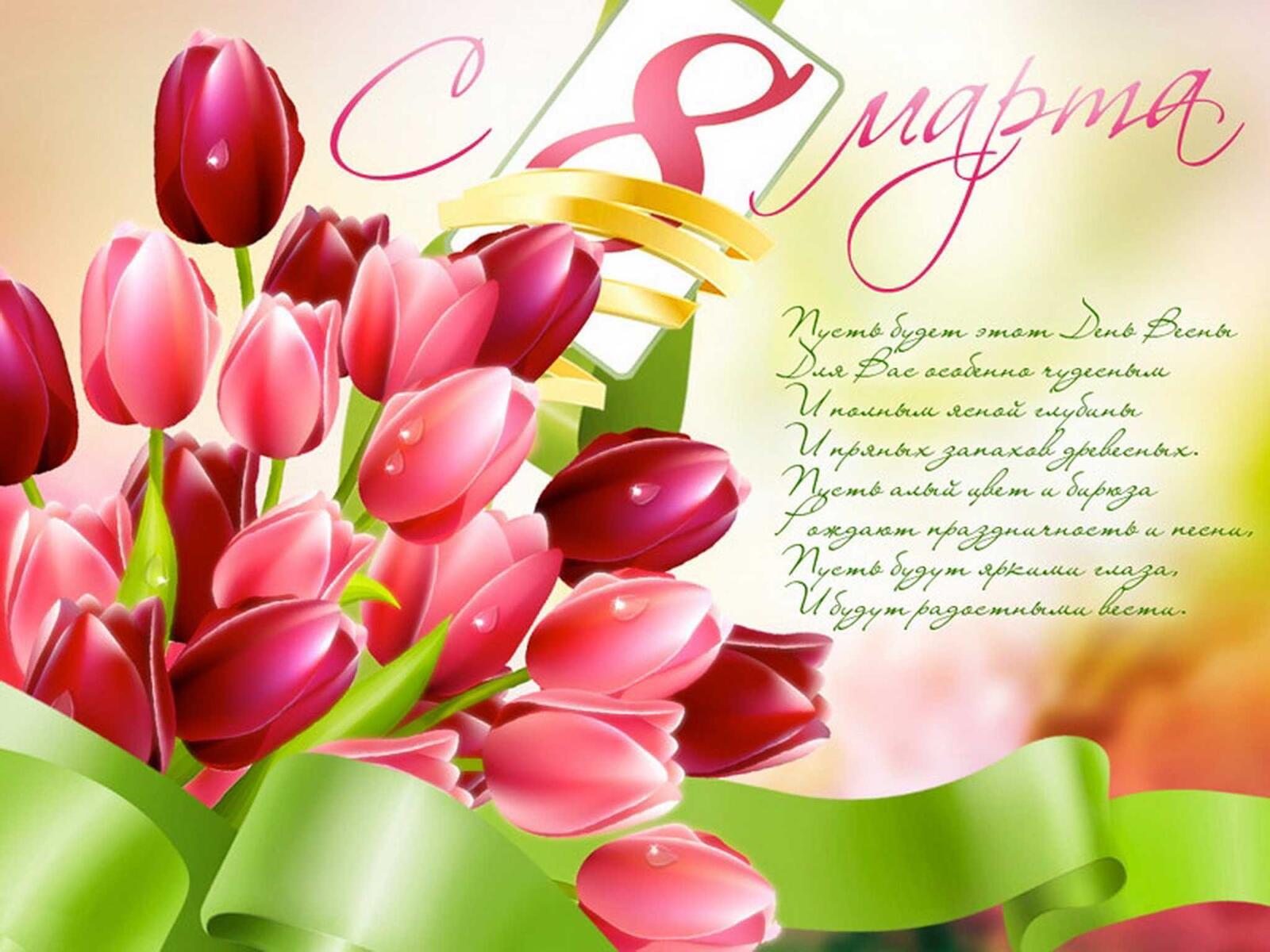 Bouquet of pink tulips for March 8