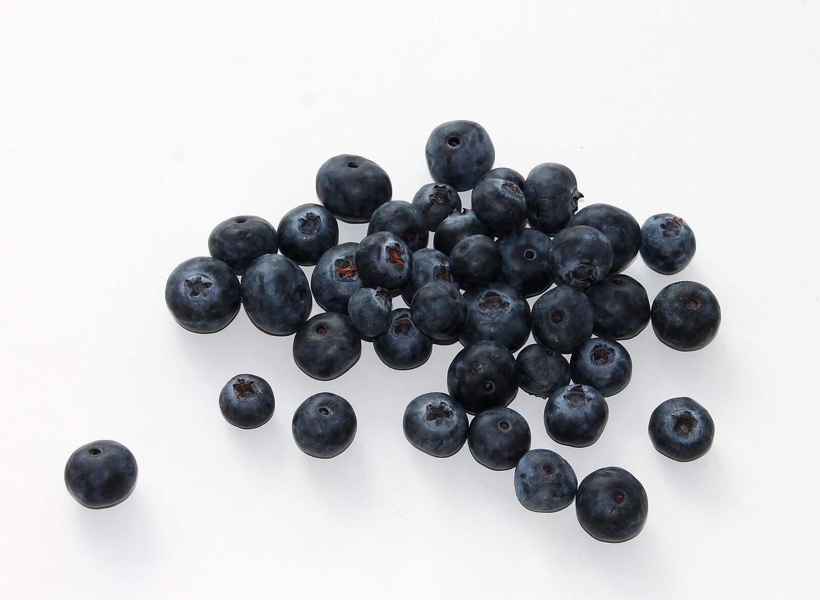 Free photo Blueberry wallpaper on a white background