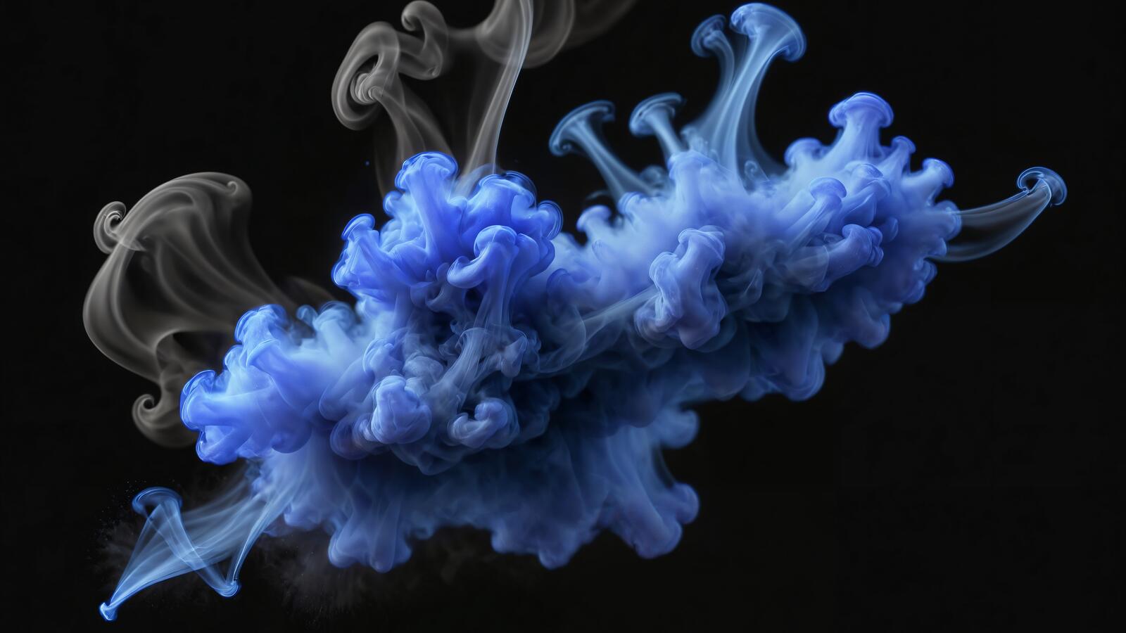 Бесплатное фото Синий дым доминирует