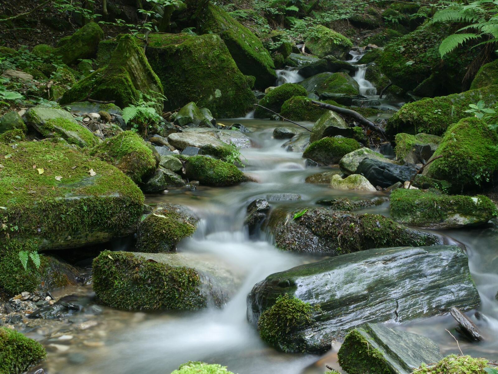 Бесплатное фото Река среди камней