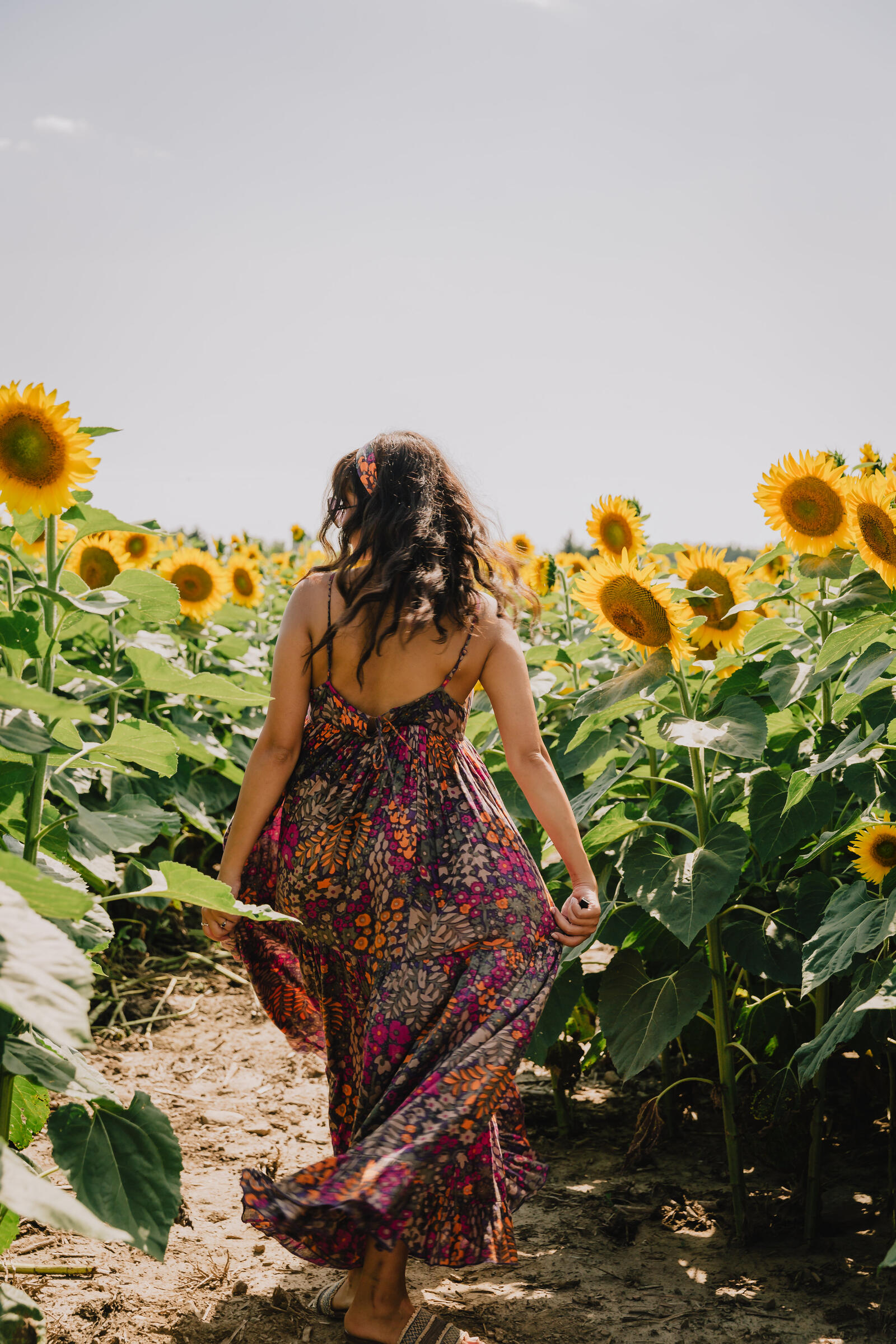 Free photo A girl in a dress walking among the sunflowers