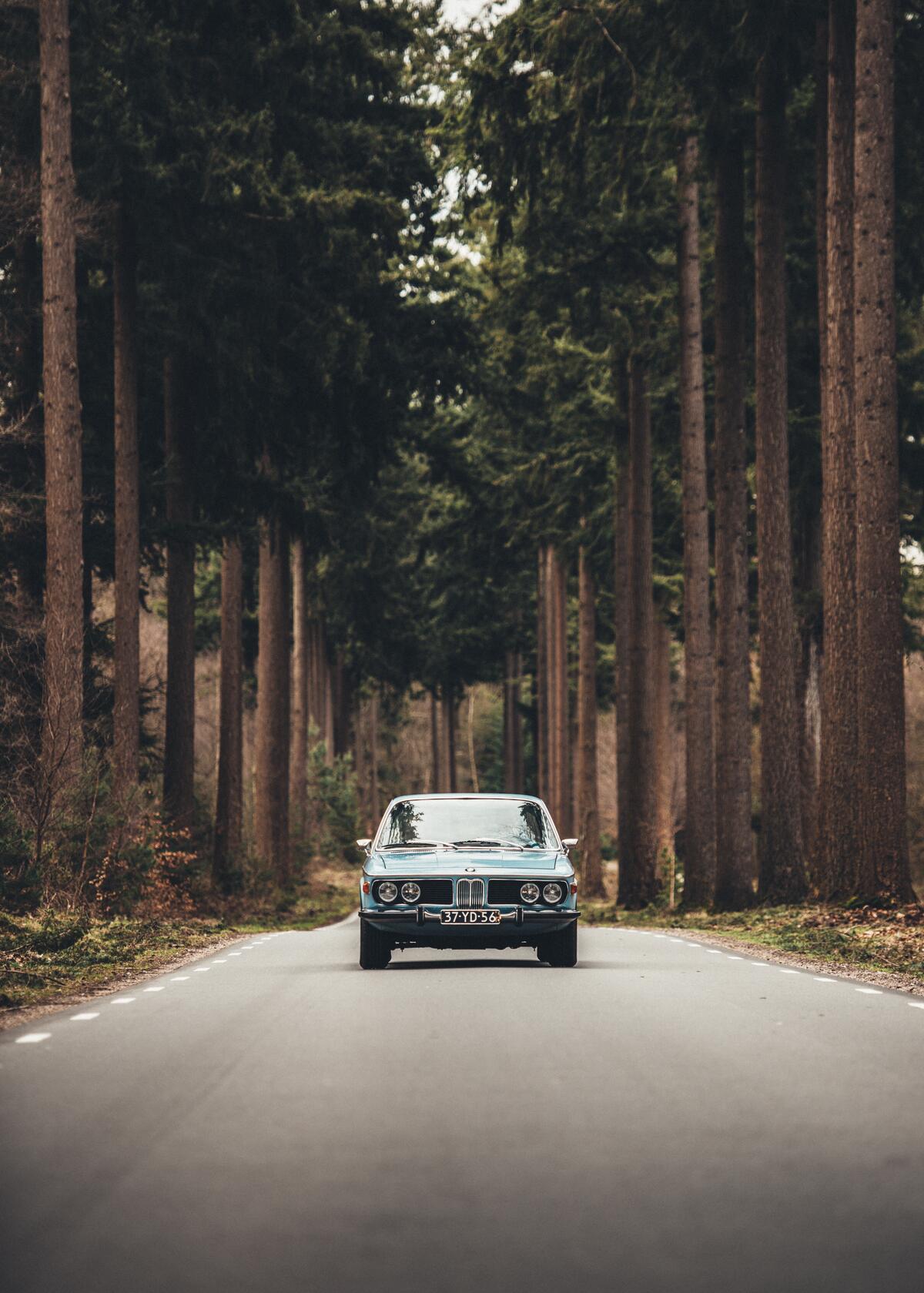 An old bmw driving in the woods.