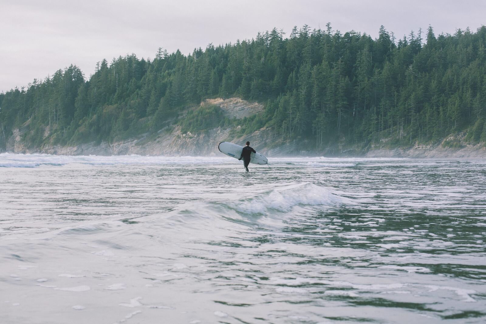 免费照片一名冲浪者拿着冲浪板在海滩上漫步