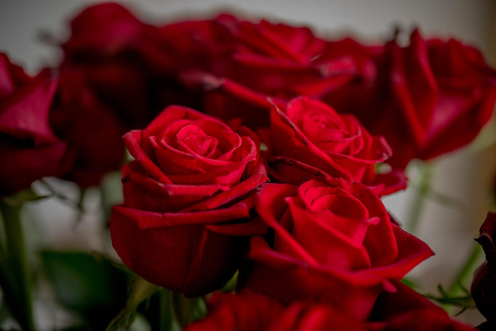 Бесплатное фото Букет из красных роз